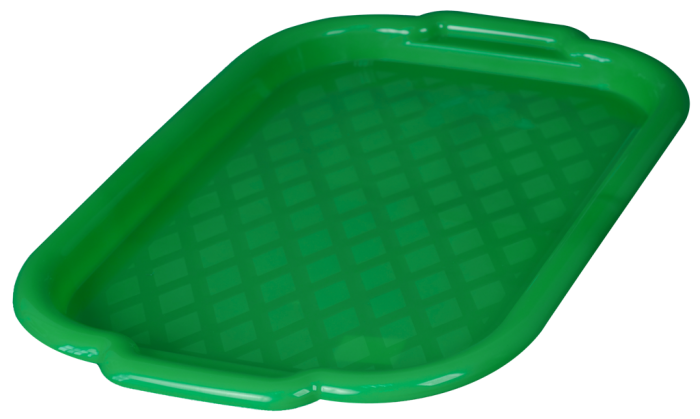 Поднос малый 28*40 см 160111