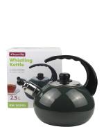 Чайник 2,5 л. эмалированный со свистком Kamille KM 1039D с черной бакелитовой ручкой_small